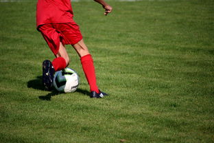 开云官方网站-俱乐部青训体系与职业联赛脱节，俱乐部青训有工资吗